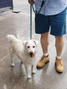 本文旨正在切磋若何成为一位既擅长房产学问又